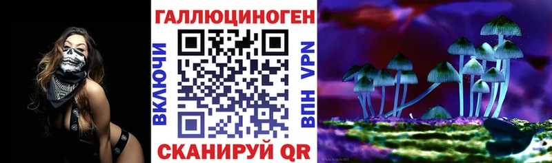 цена наркотик  МЕГА зеркало  Галлюциногенные грибы GOLDEN TEACHER  Нижнеудинск 