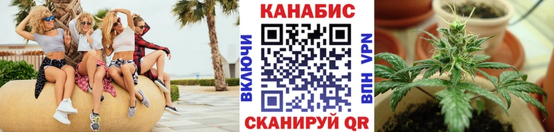 как найти закладки  Нижнеудинск  Бошки марихуана SATIVA & INDICA 